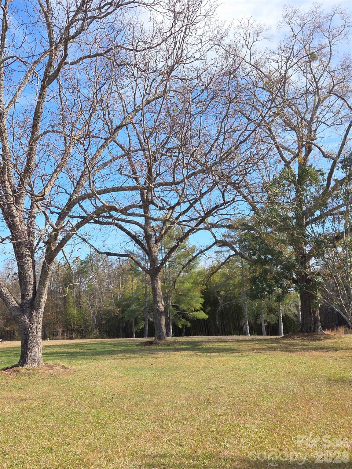 923 Green Creek Drive