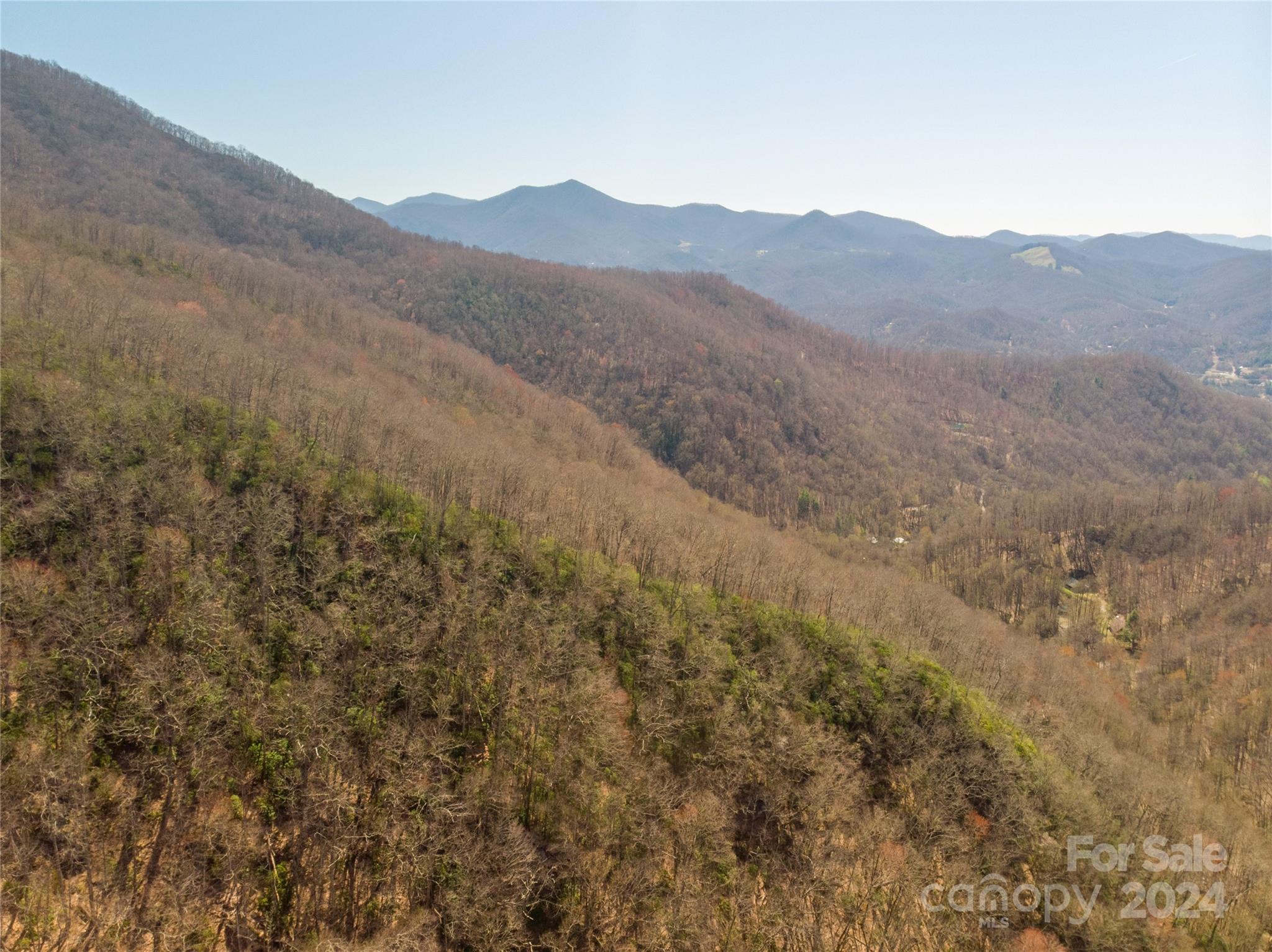 00 Buff Creek Road