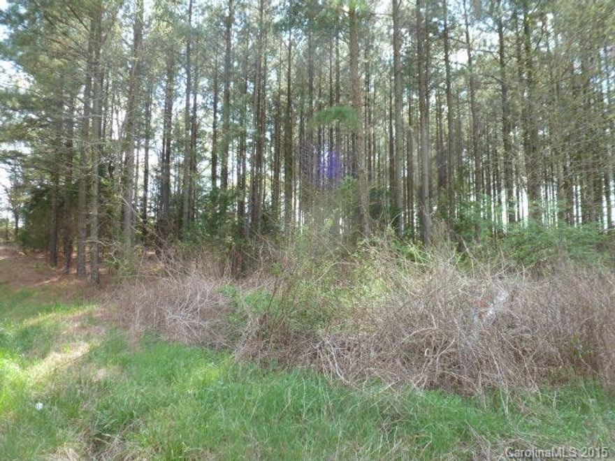 Great place to build your dream home, 15.73 acres in the Buford Community, cleared pasture and timber, horses welcome, Buford schools. Zoned  R45B.