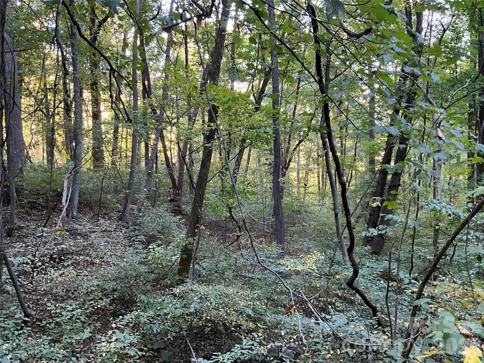 Lot 332/333 Bolt Road
