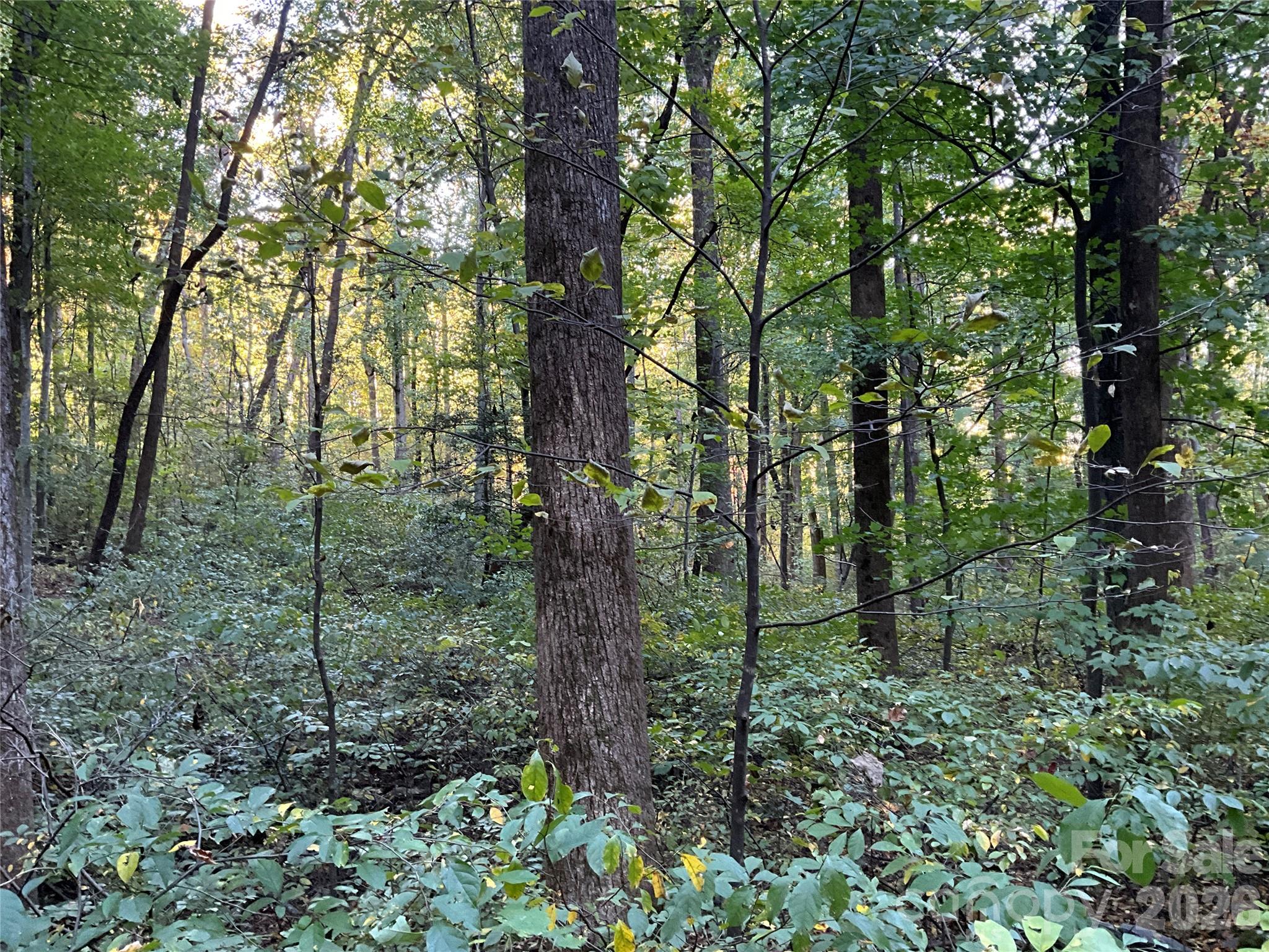 Lot 332/333 Bolt Road