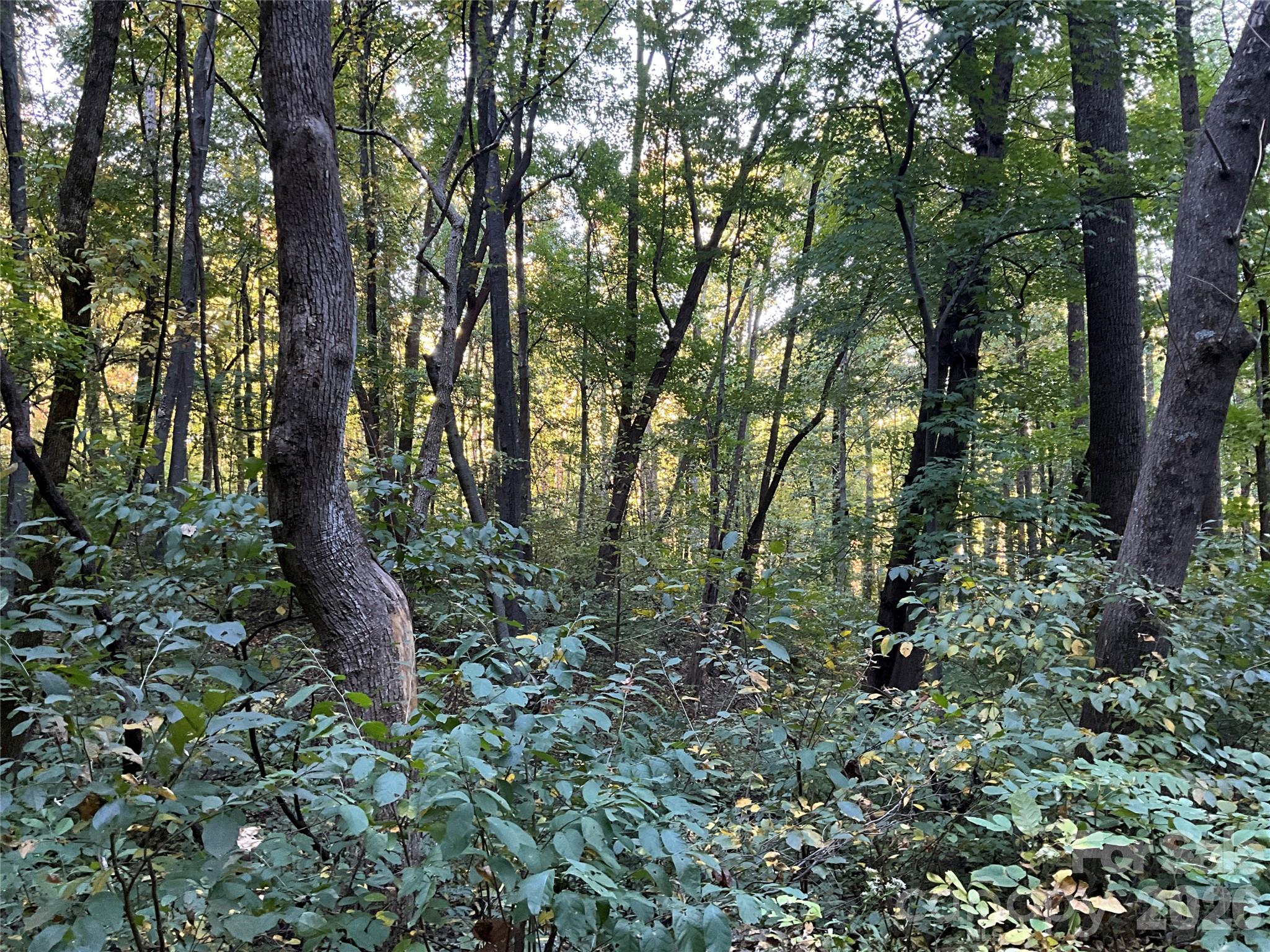 Lot 332/333 Bolt Road