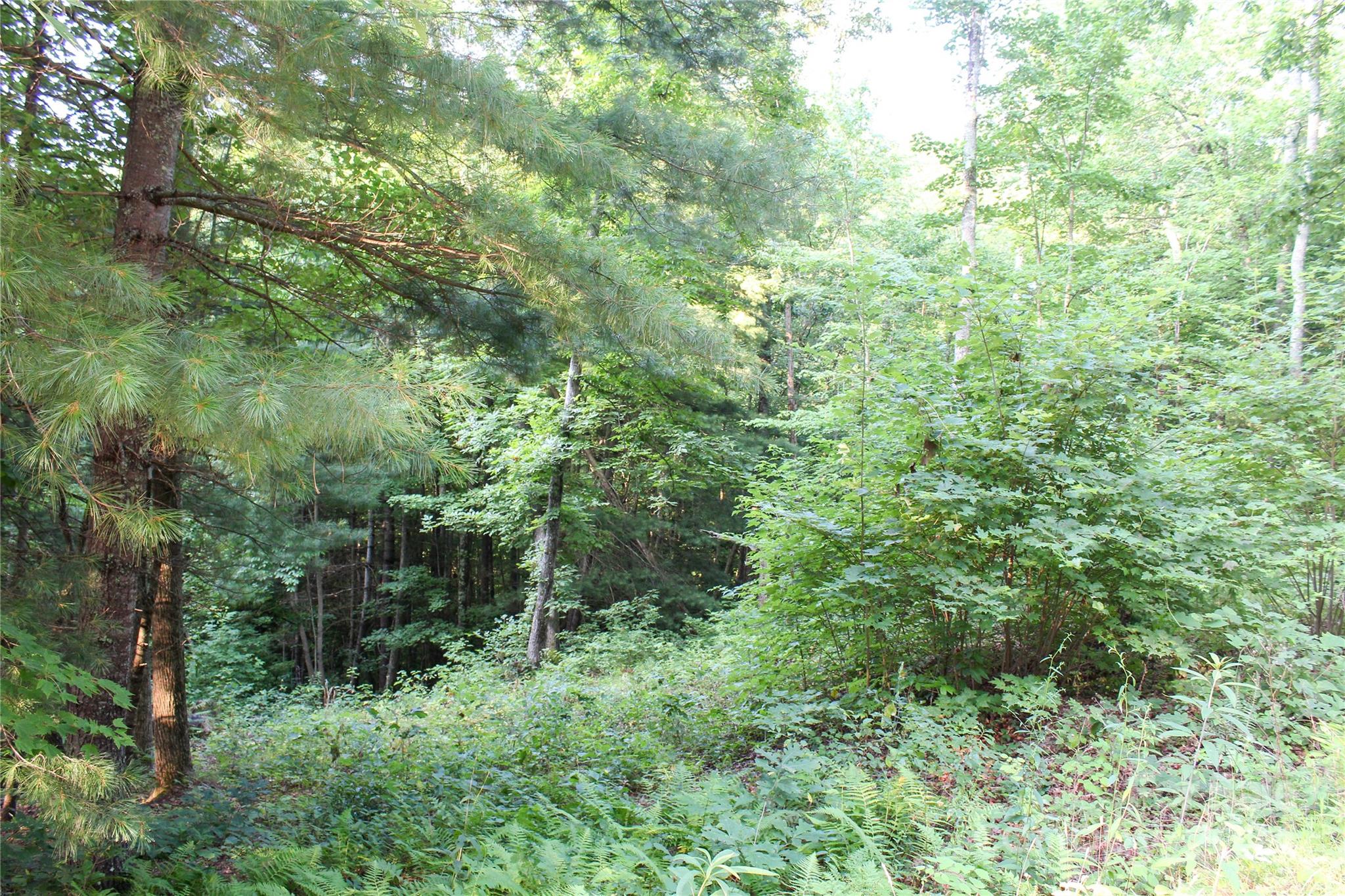 0000 Silverglen Way