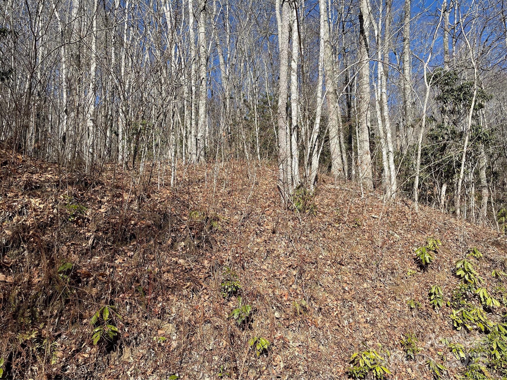 0 Deep Gap View 52&53