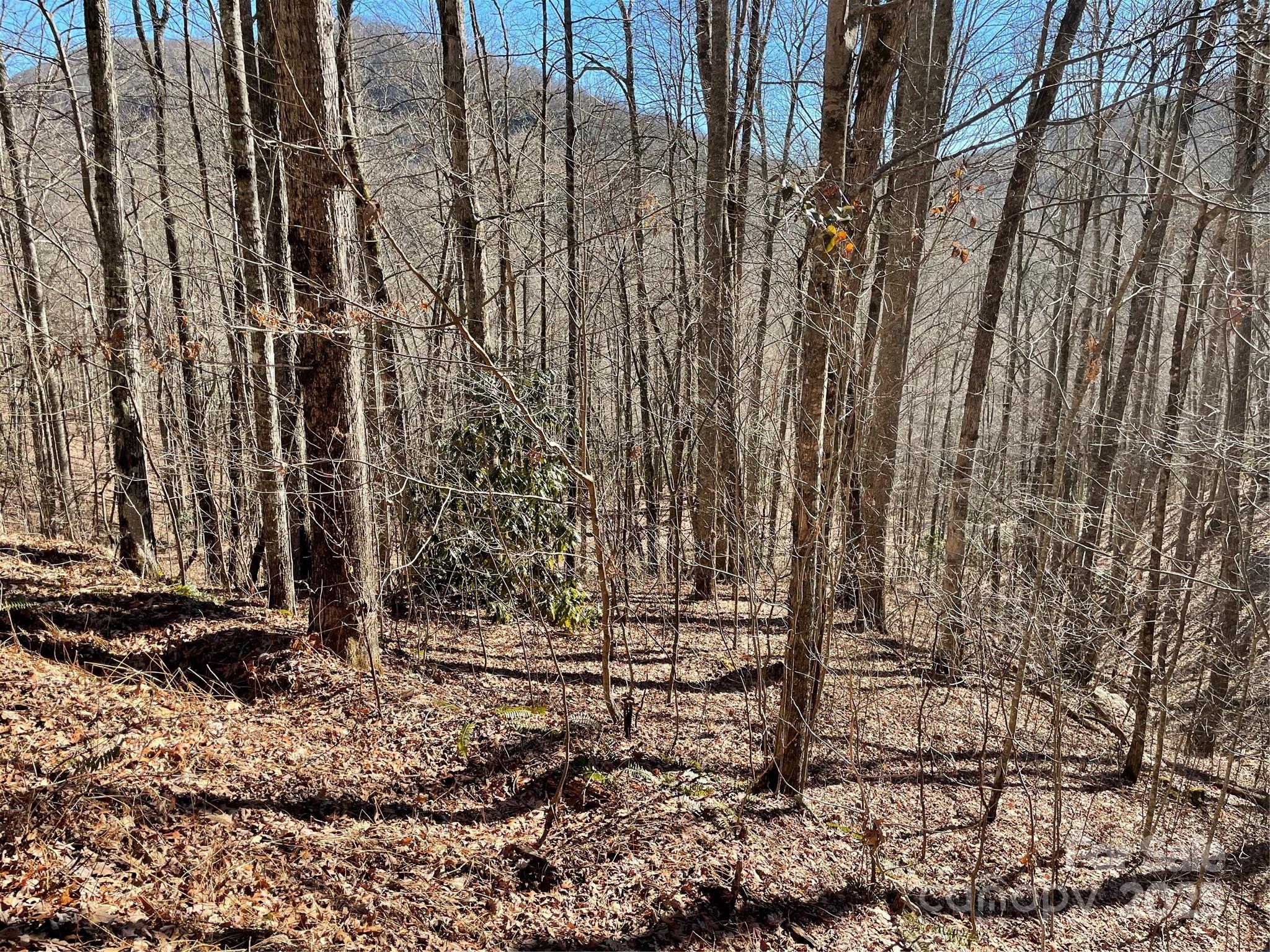 0 Deep Gap View 52&53