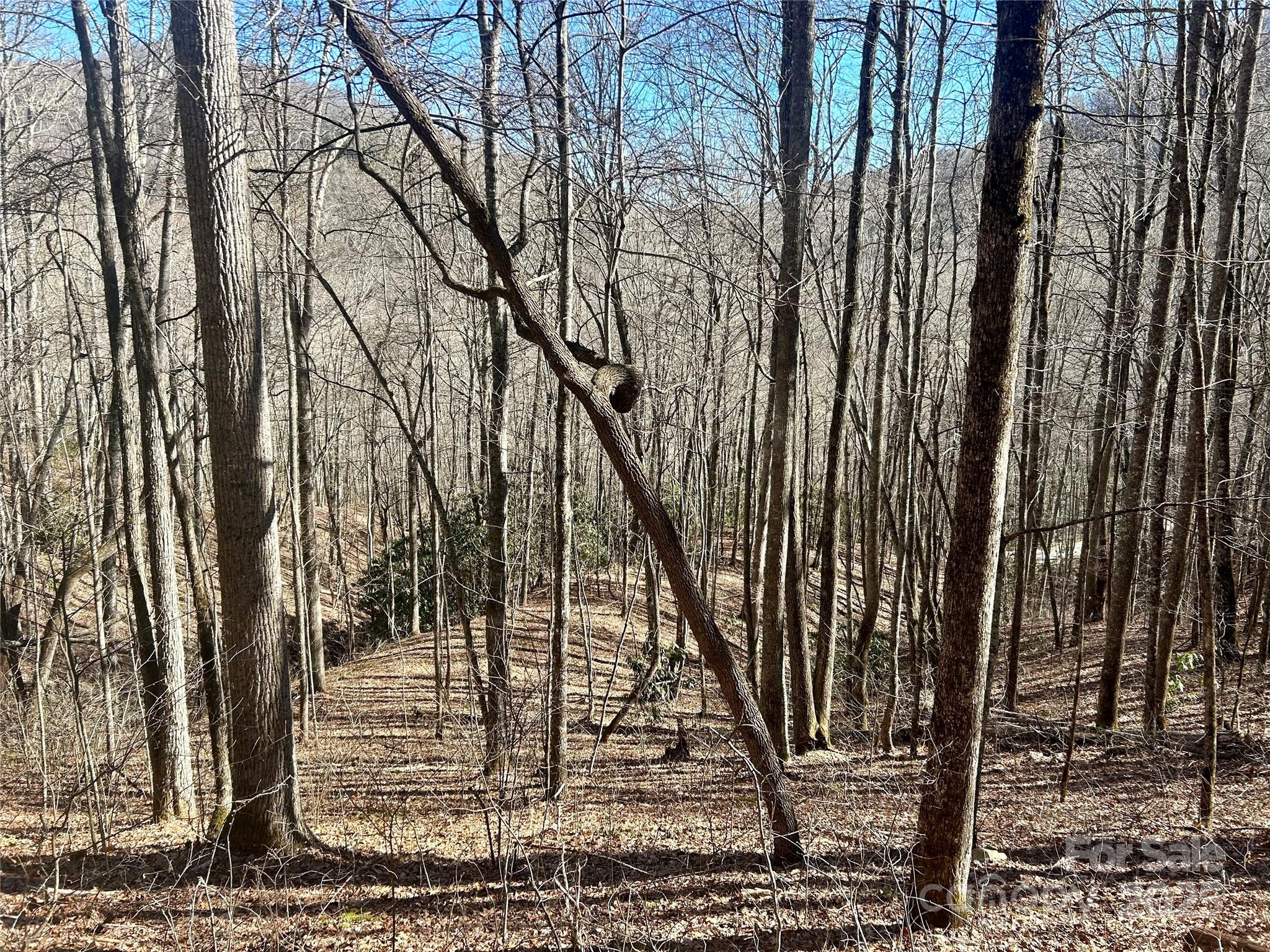 0 Deep Gap View 52&53