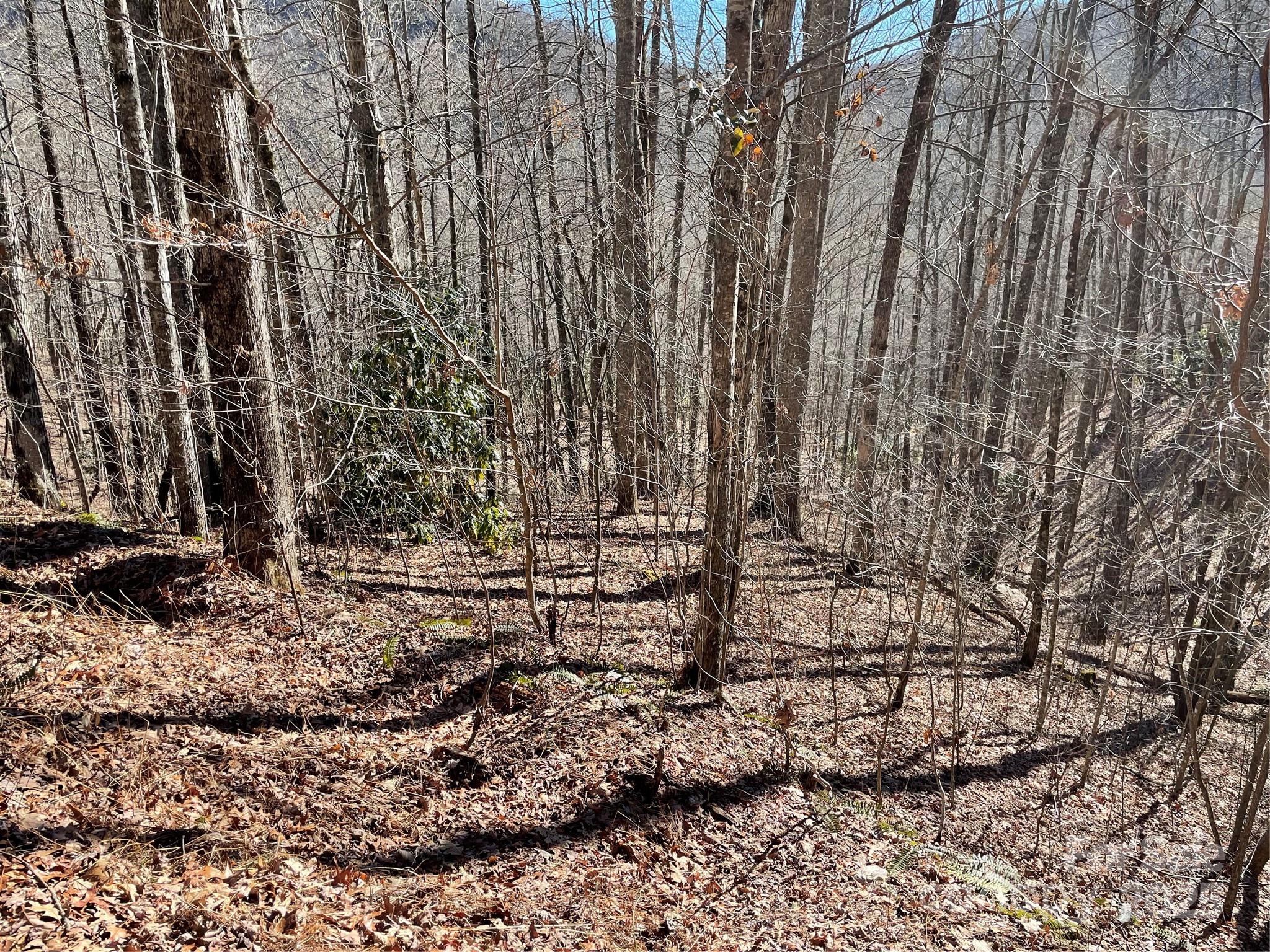 0 Deep Gap View 52&53