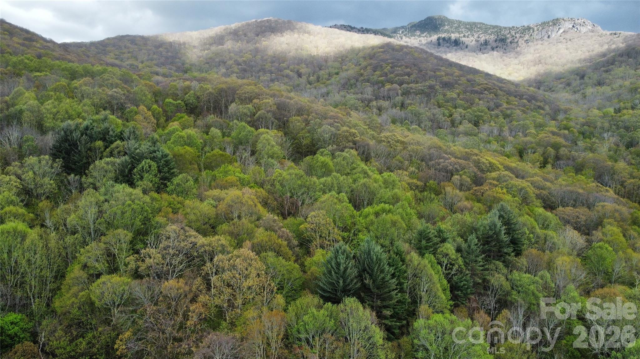 Amber Ranches - Land