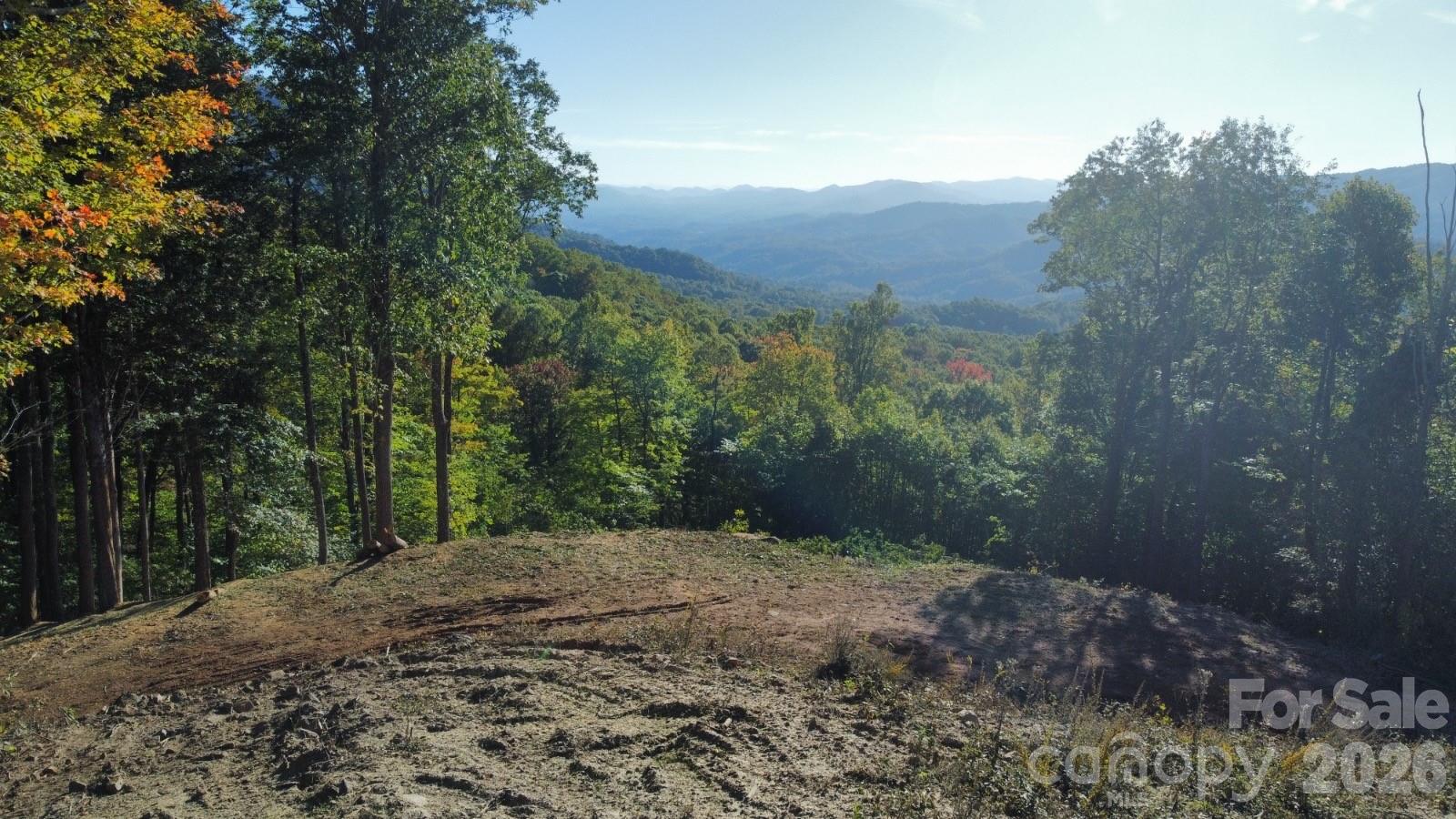 Amber Ranches - Land