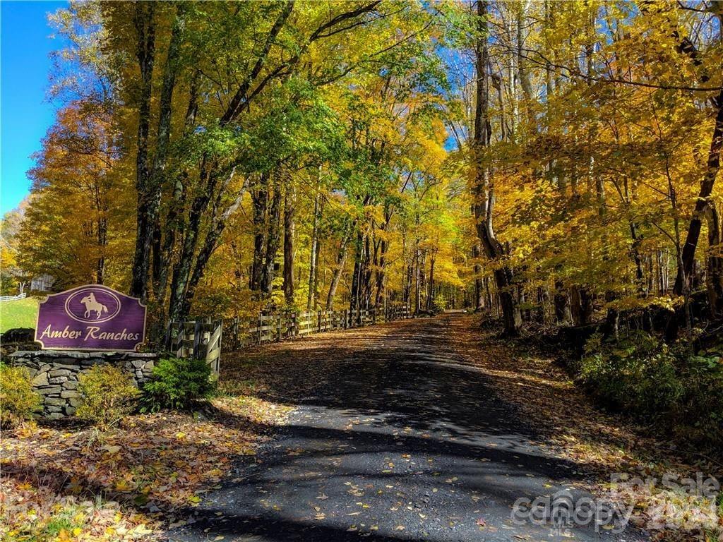 Amber Ranches - Land