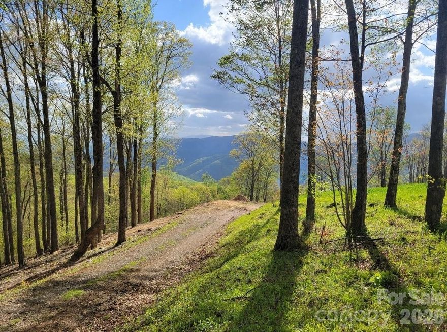 Unparalleled Mountain Views in the Heart of the Blue Ridge

Lot #37 Amber Ranches | 2.85 Acres | TBD Nicholas Knoll Rd, Bakersville, NC

Welcome to your mountain dream homesite—2.85 acres of gently sloping land offering jaw-dropping, year-round Blue Ridge Mountain views. Nestled in the heart of Mitchell County, this homesite provides an ideal blend of peace, beauty, and accessibility. The seller has continued to improve the lot, making it ready for your vision with an easy-in, easy-out driveway already in place.

Located just minutes from the iconic Appalachian Trail and the scenic Blue Ridge Parkway, adventure awaits just beyond your doorstep. Whether you're building a seasonal retreat or a full-time mountain residence, Lot #37 at Amber Ranches offers the perfect canvas with privacy, panoramic vistas, and a connection to nature that’s hard to match.