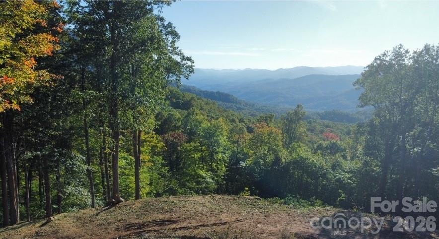 Amber Ranches - Land