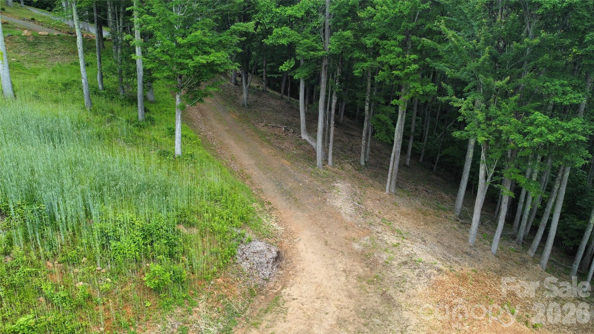 Amber Ranches - Land