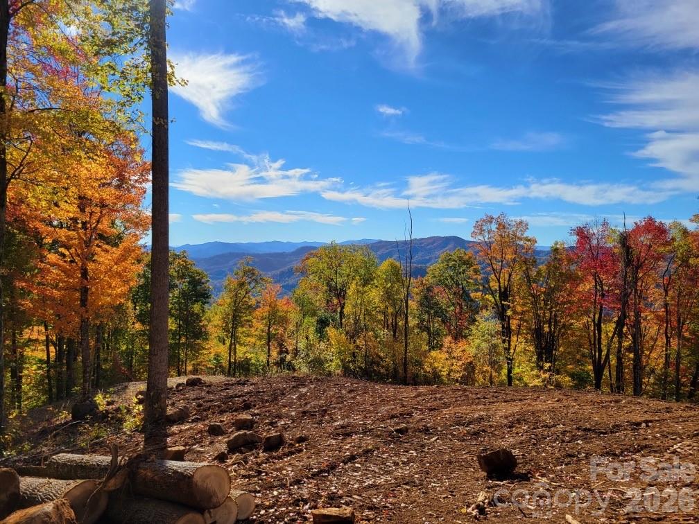 Amber Ranches - Land
