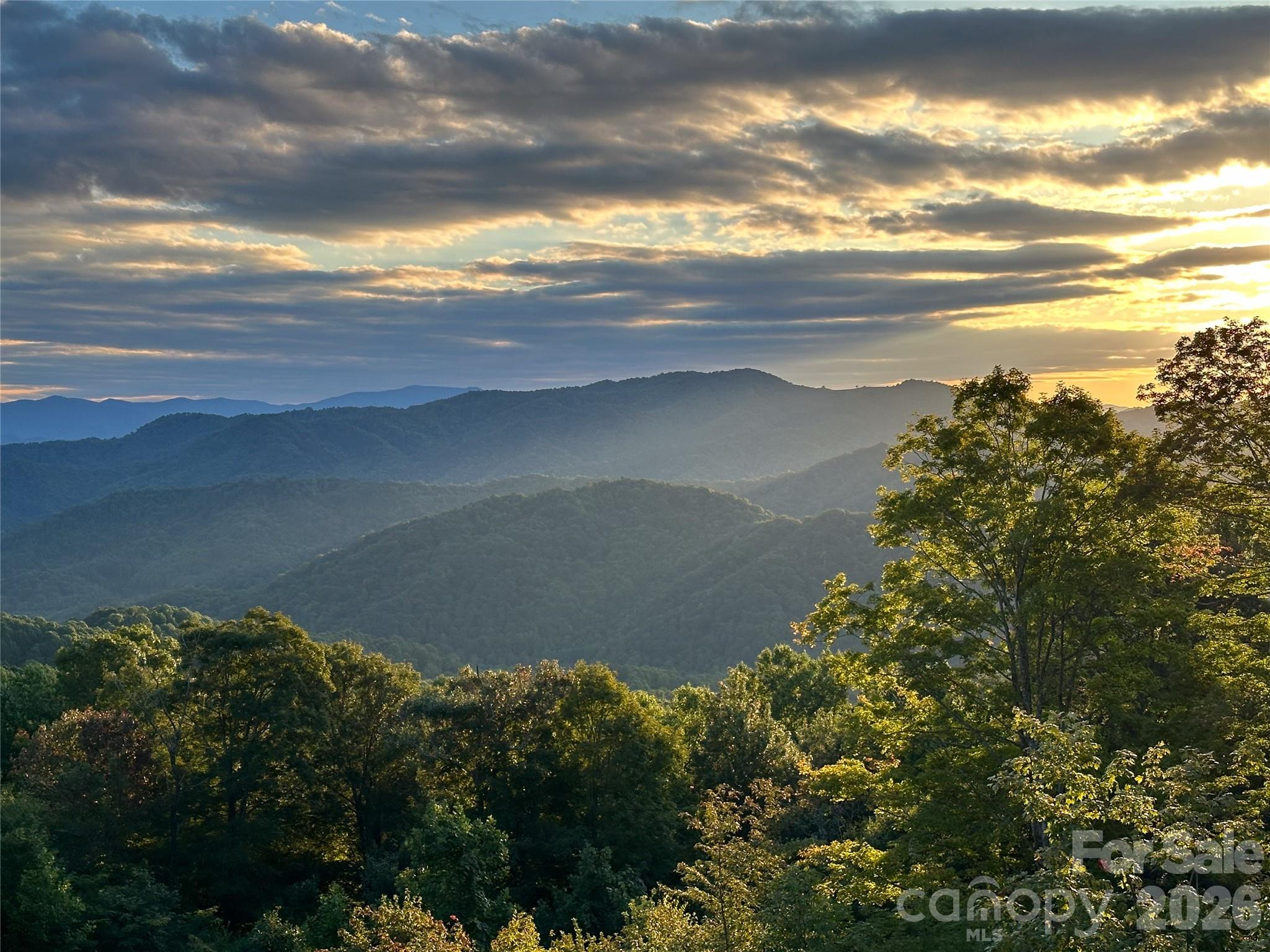 Amber Ranches - Land