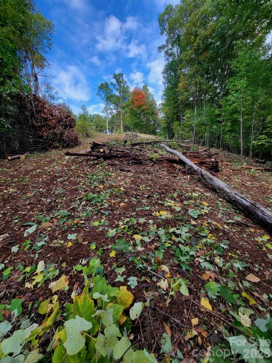 Amber Ranches - Land