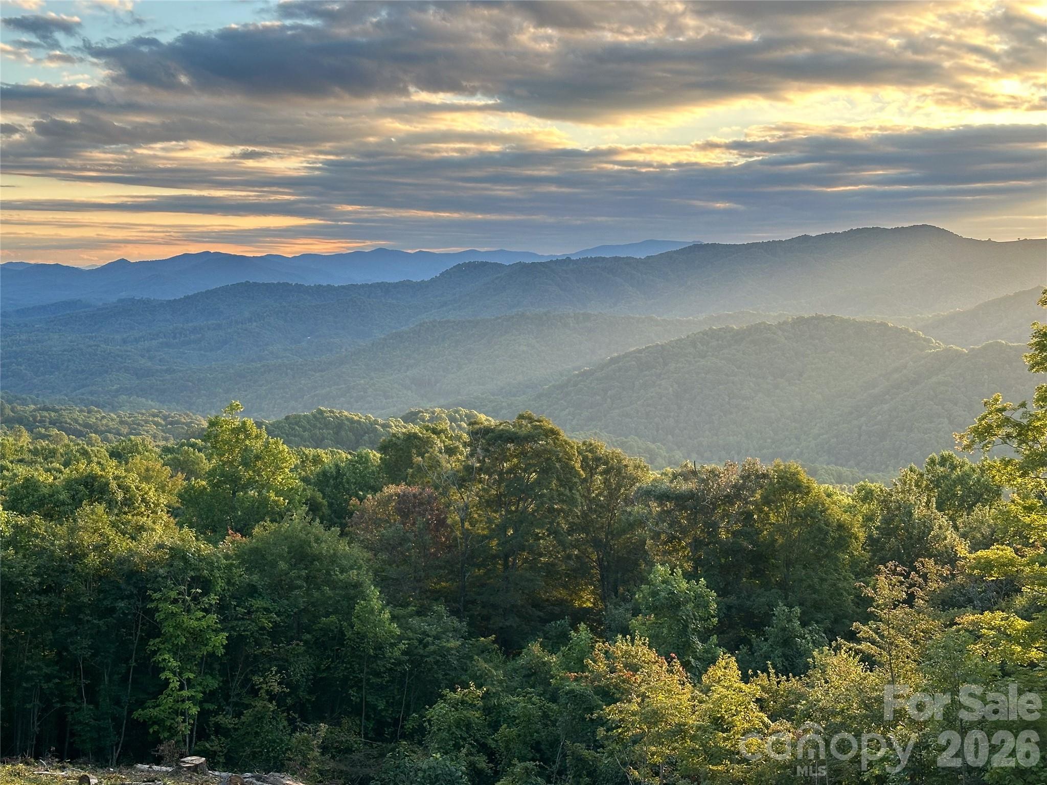 Amber Ranches - Land