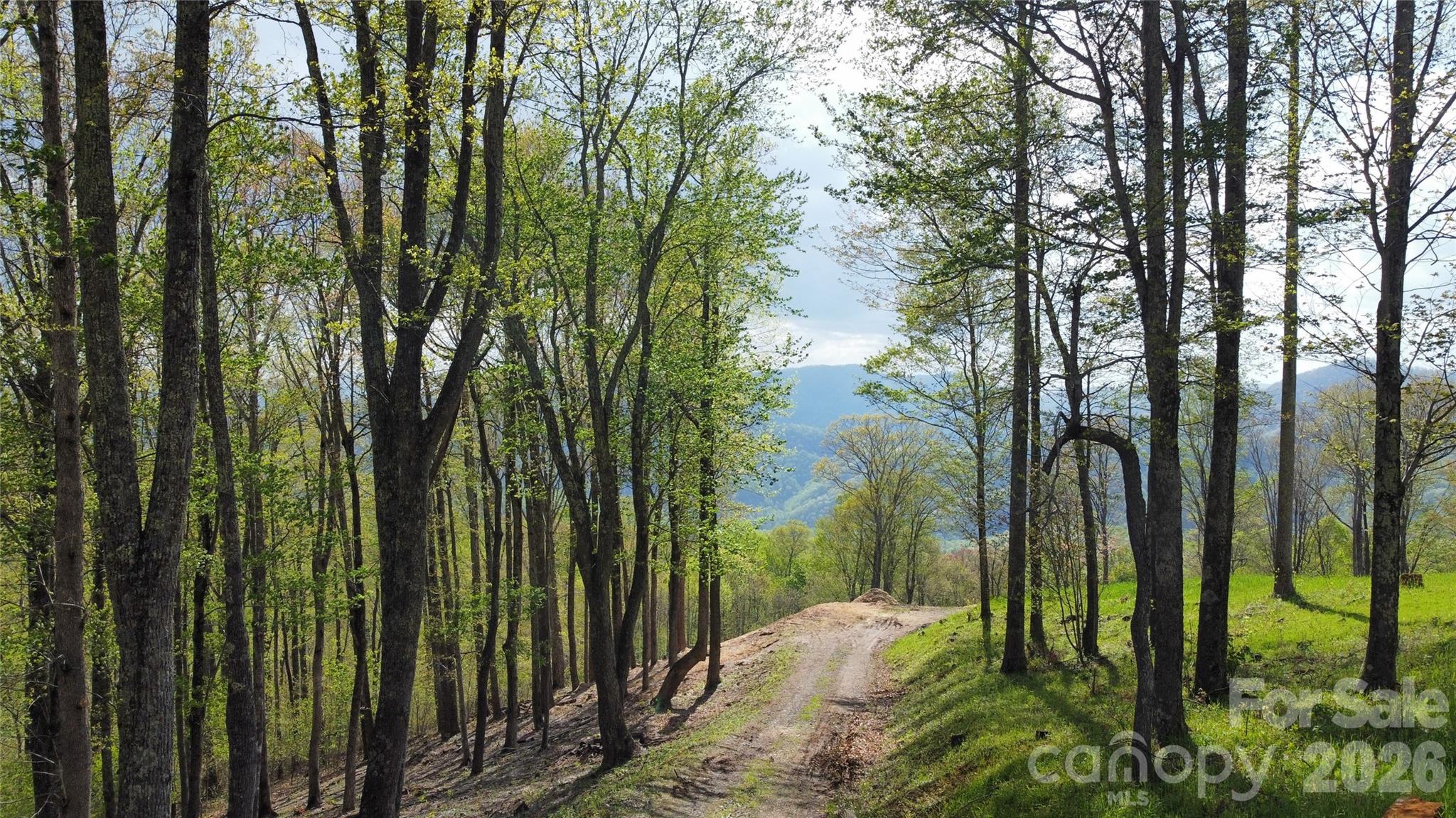 Amber Ranches - Land