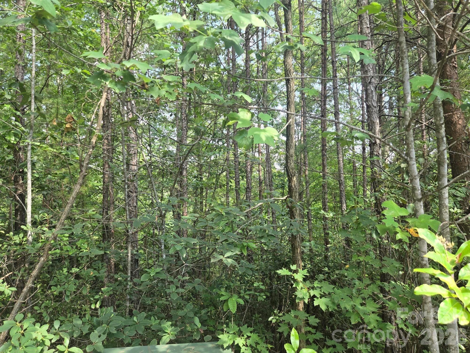 Lot 18 Highland Heights