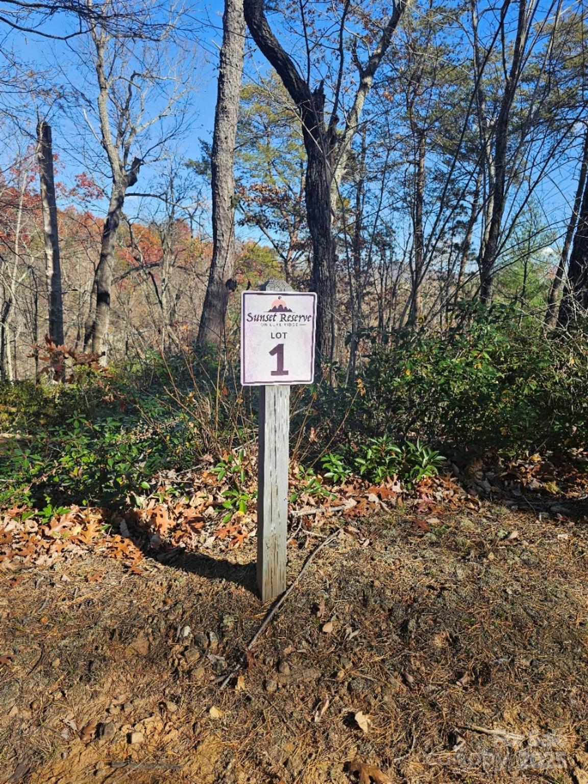 0 Lure Ridge Drive 1