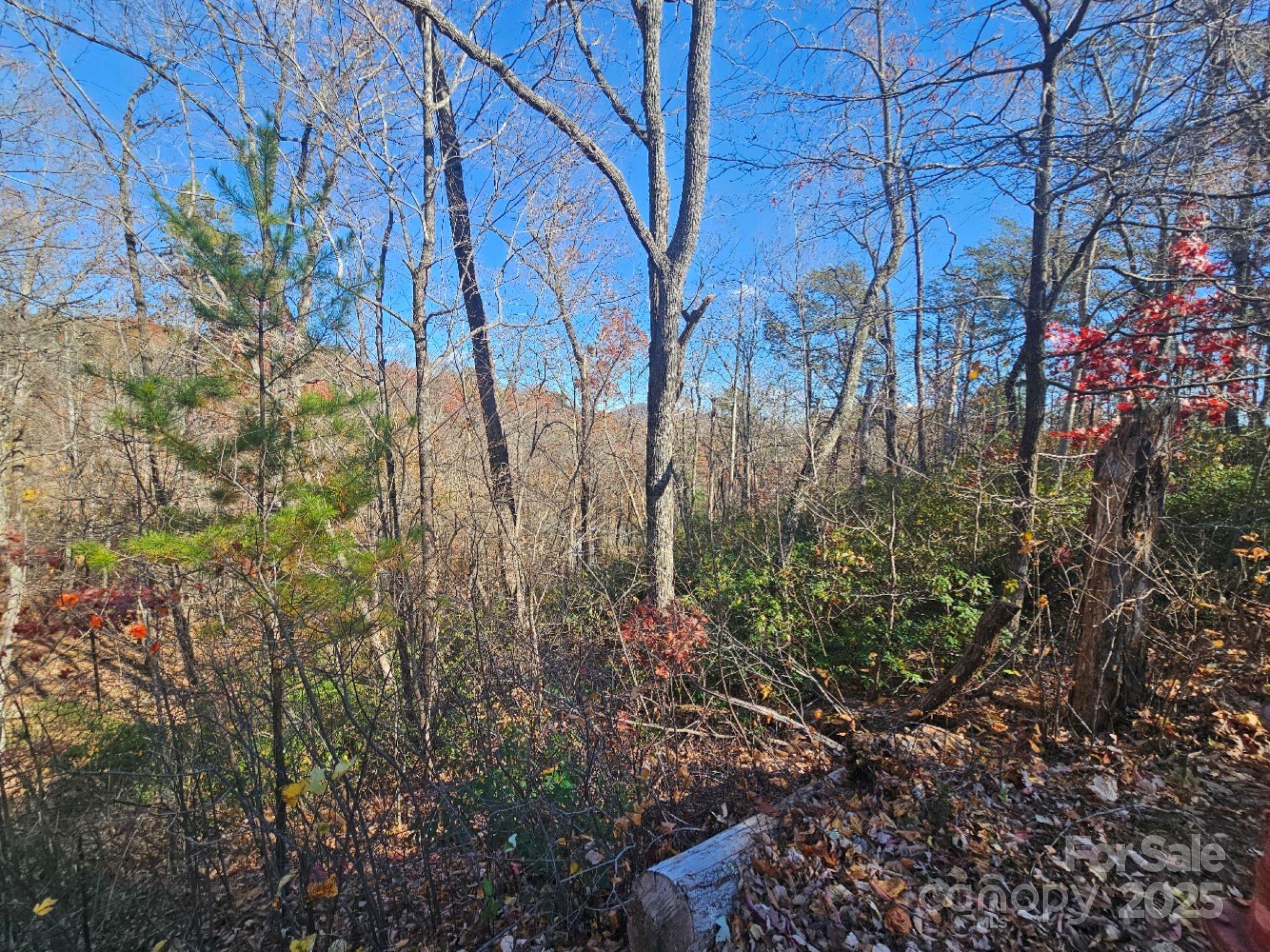 0 Lure Ridge Drive 1