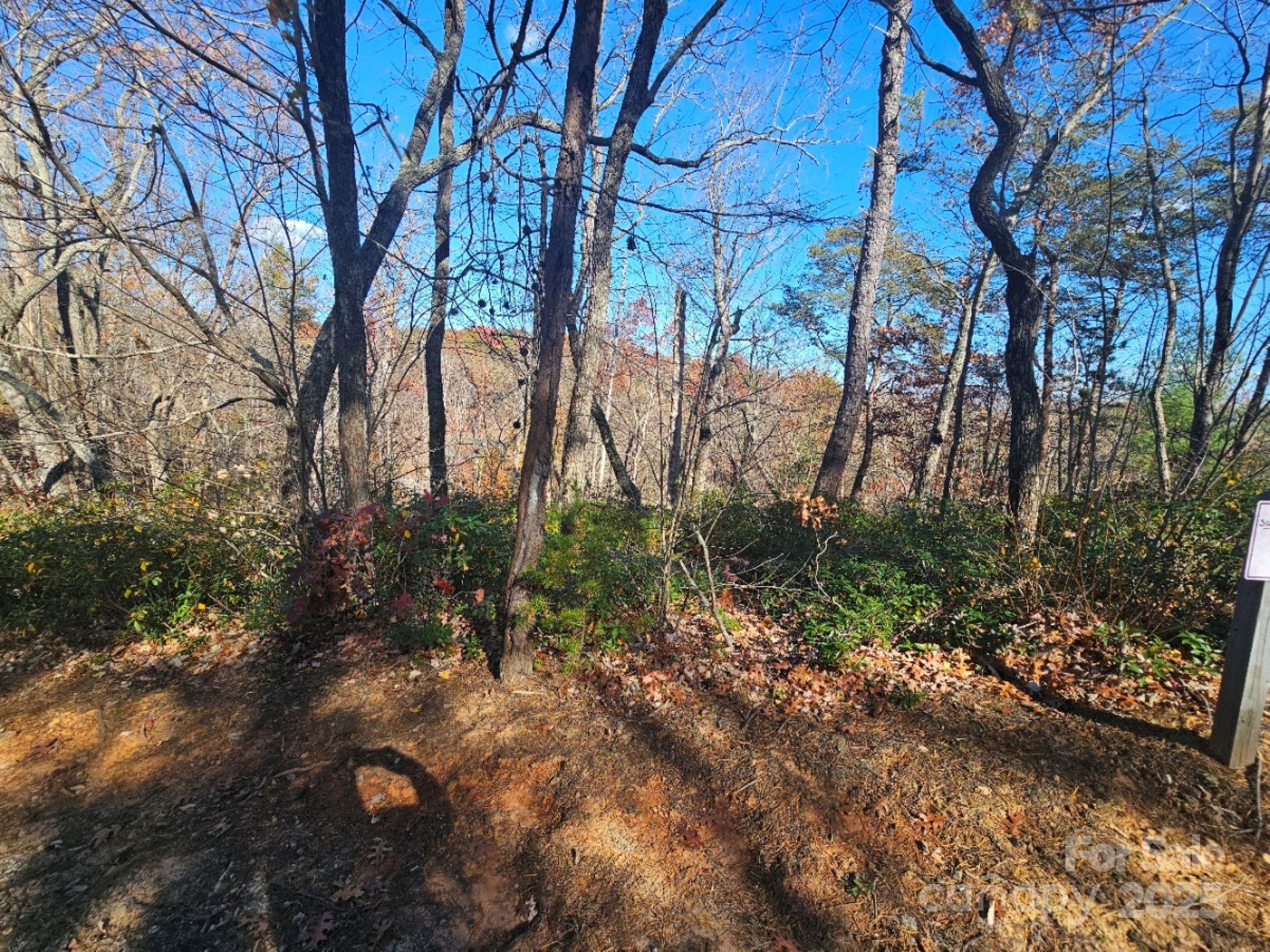 0 Lure Ridge Drive 1