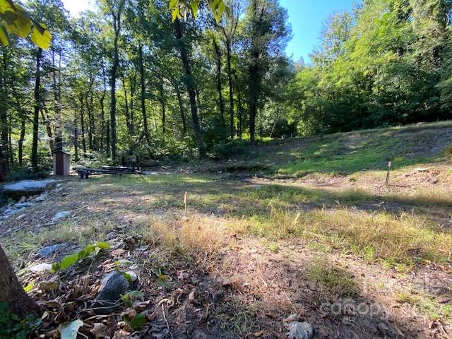 The Falls at Chimney Rock - Land