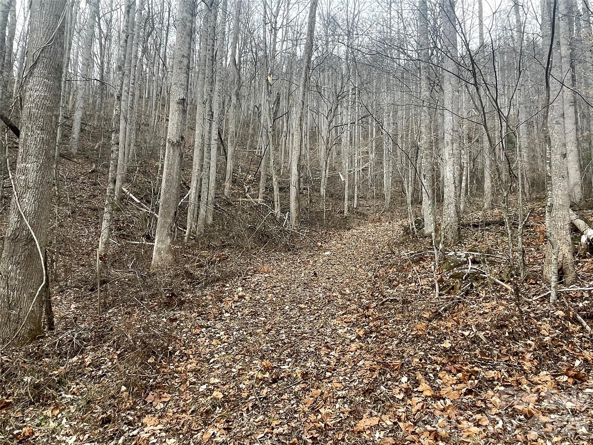 999999 Martins Creek Road