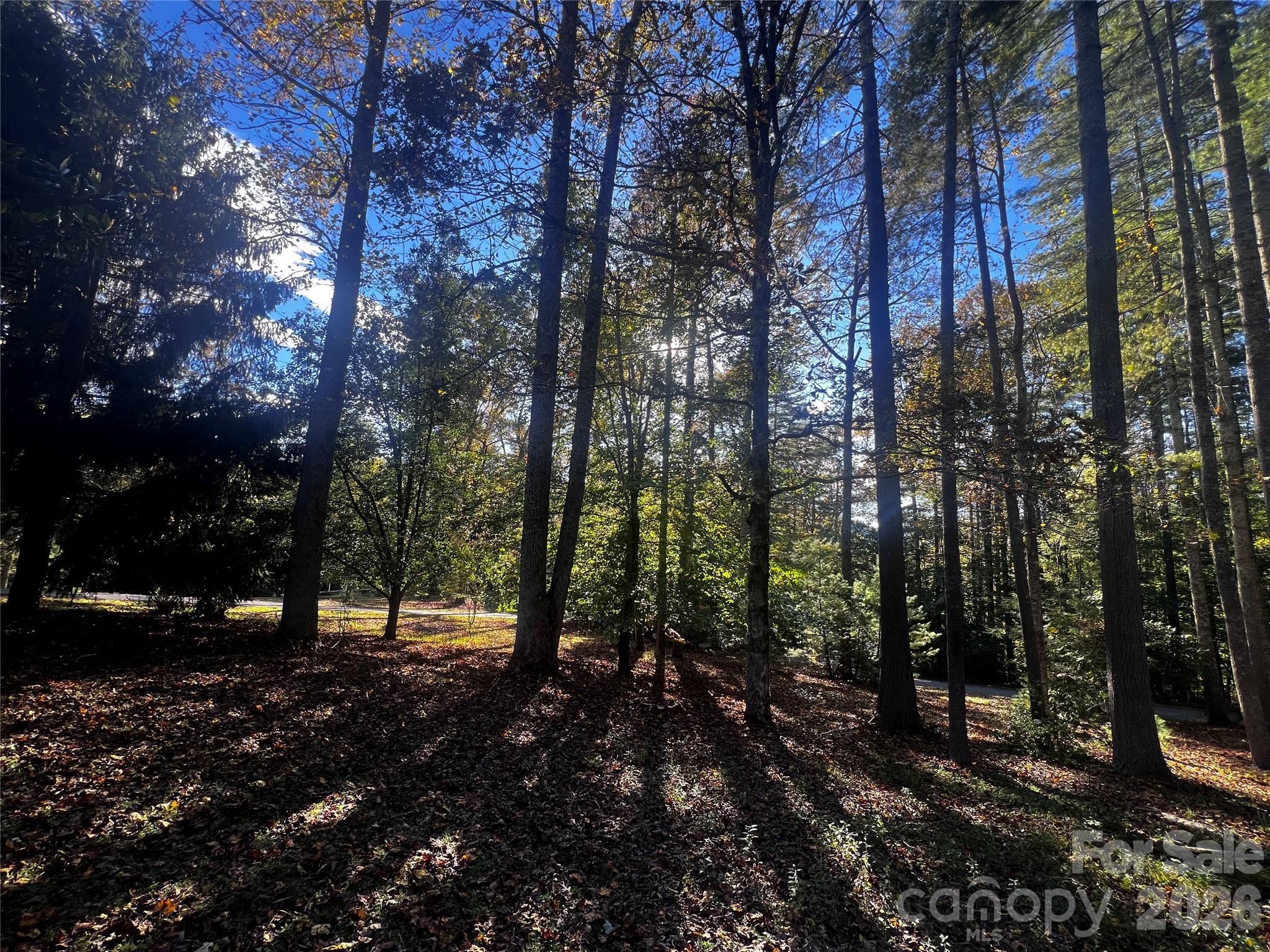 13 Pinecrest Drive