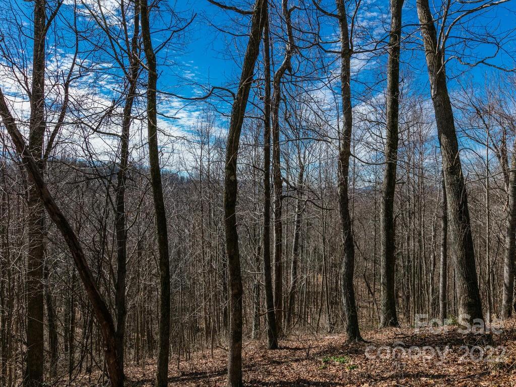 Somersby Park - Land