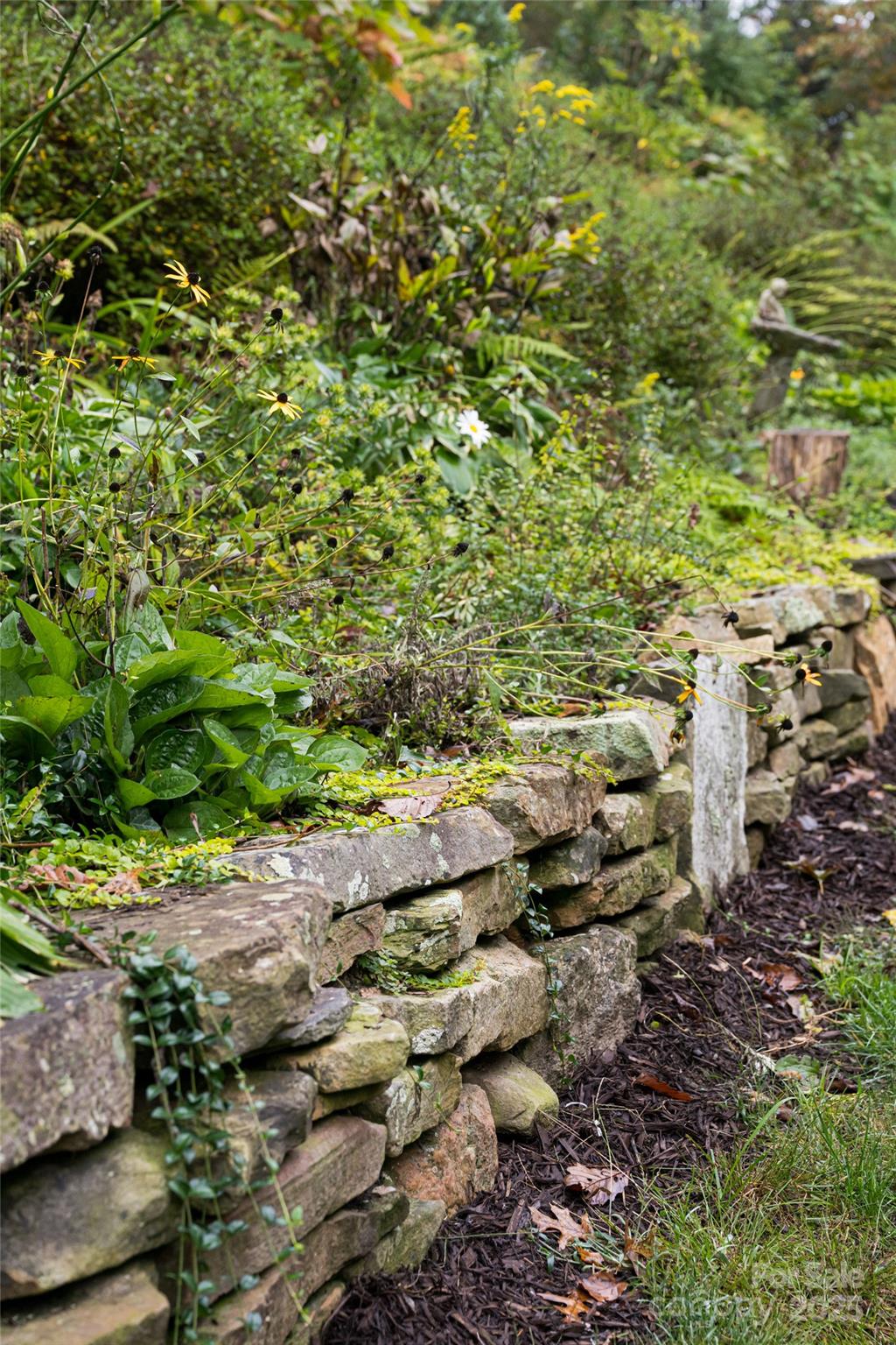 Biltmore Forest - Residential