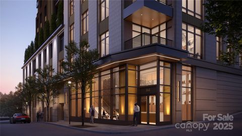 161 Church Street 1001 Asheville NC 28801