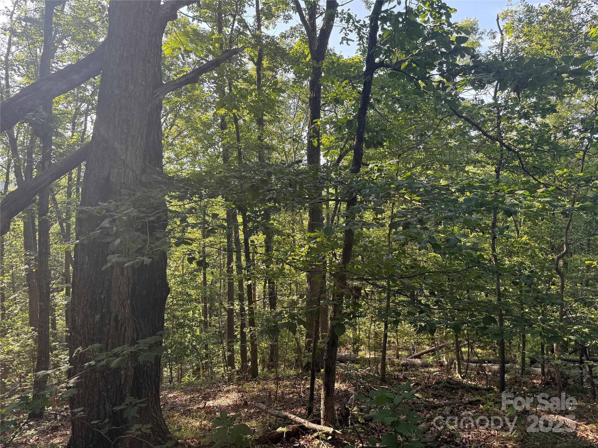 Grandview Peaks - Land