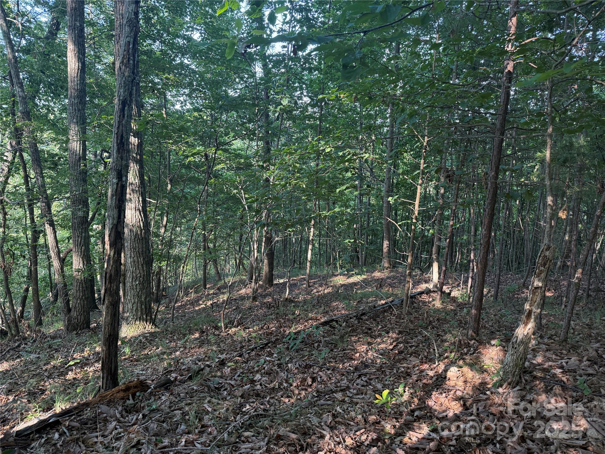 Grandview Peaks - Land