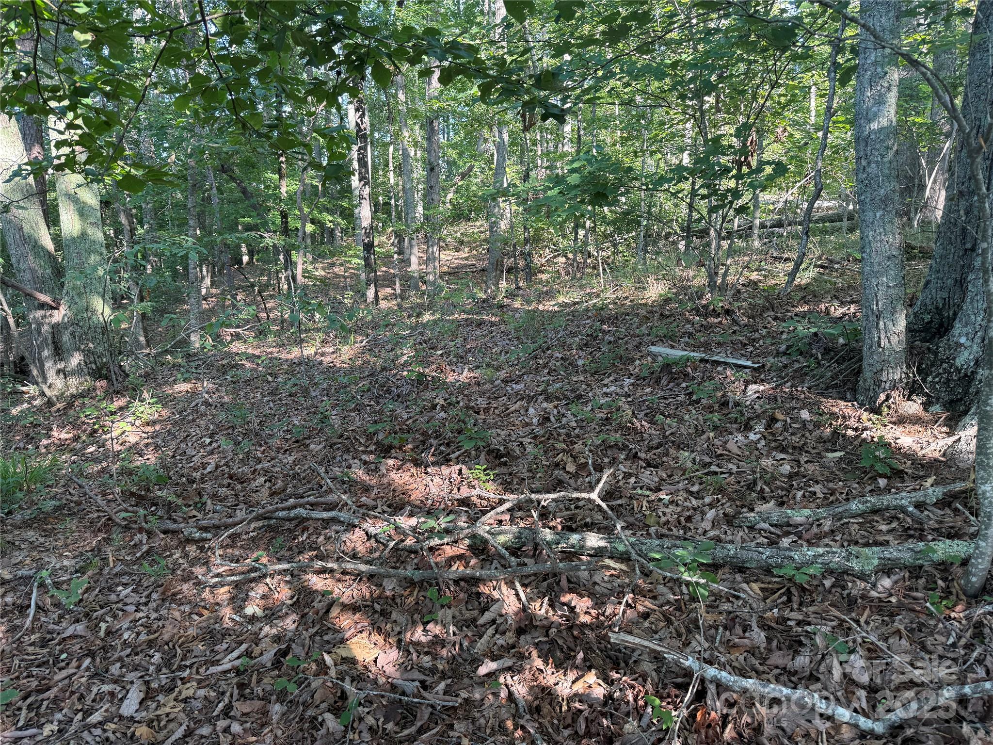 Grandview Peaks - Land