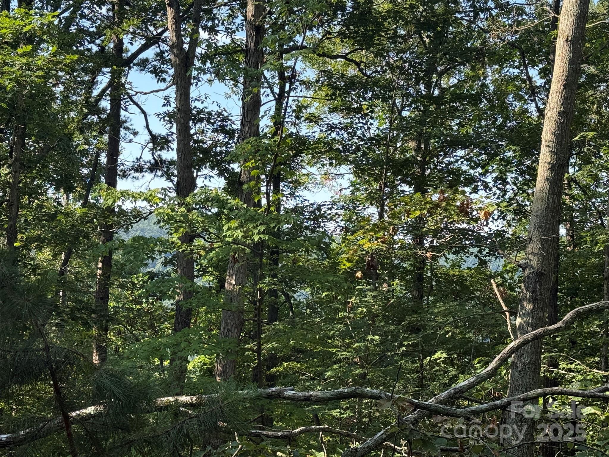 Grandview Peaks - Land