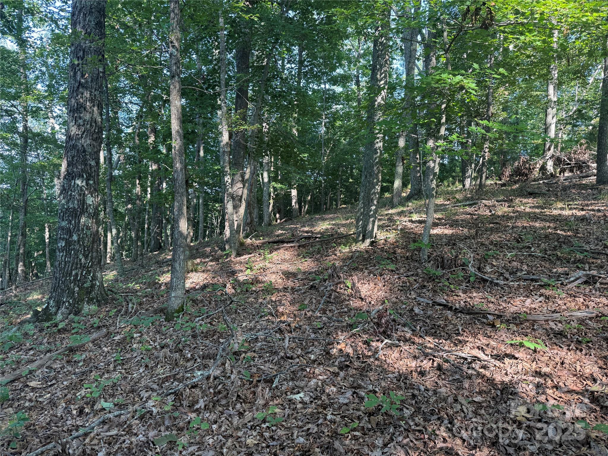 Grandview Peaks - Land