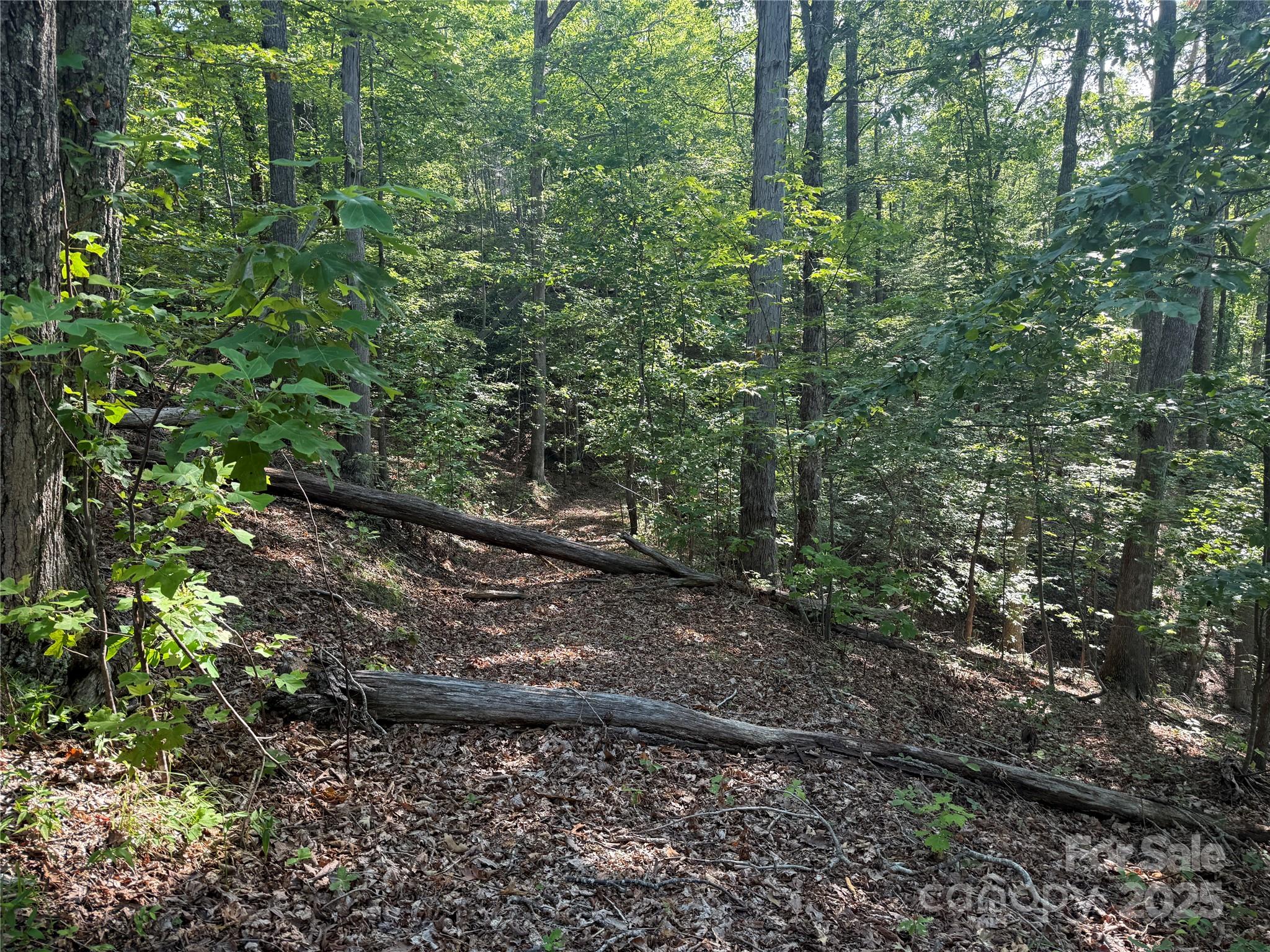 Grandview Peaks - Land