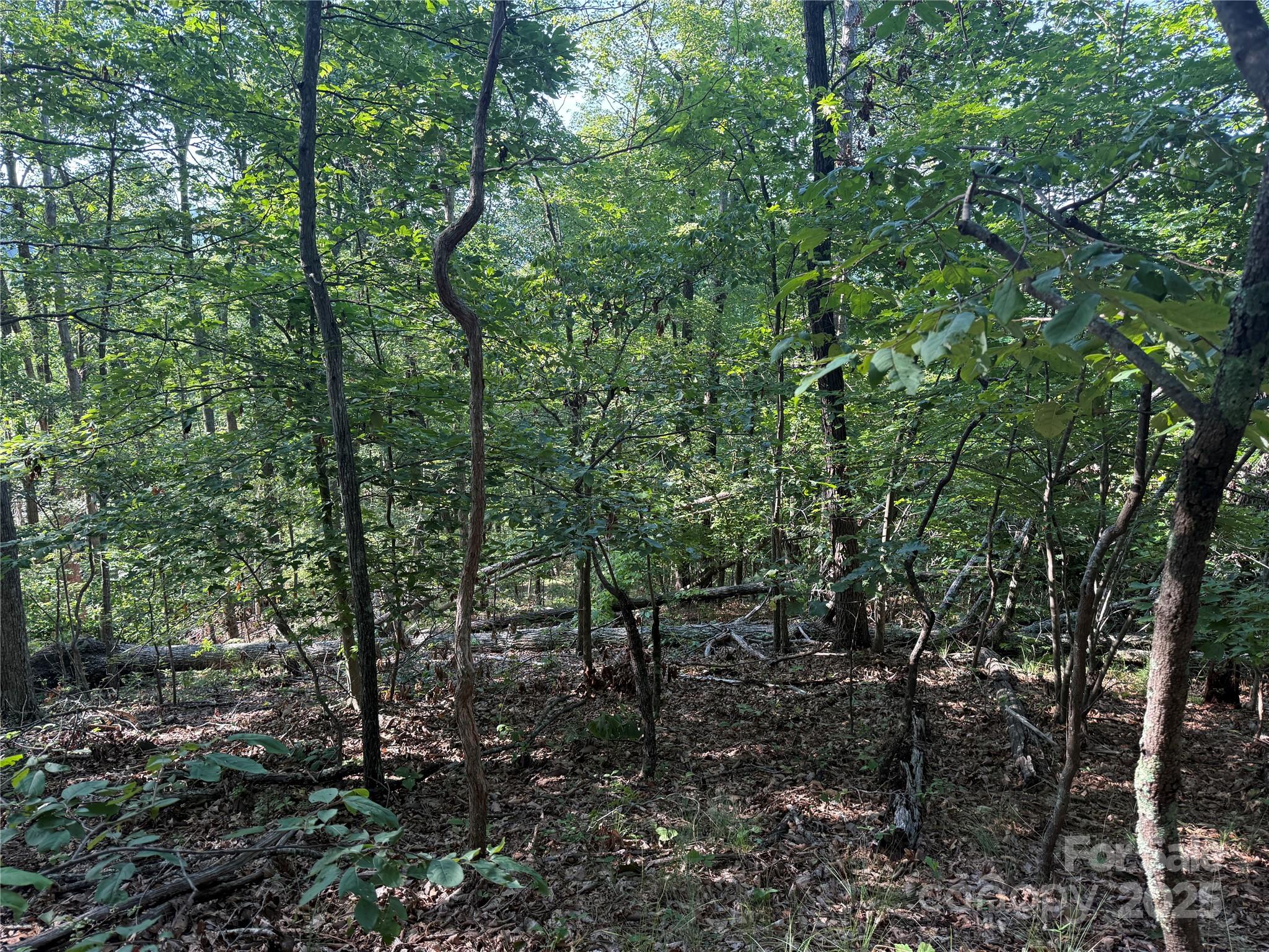 Grandview Peaks - Land