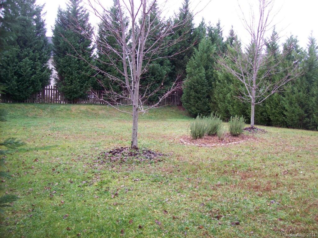 Morrison Plantation - Residential Lease