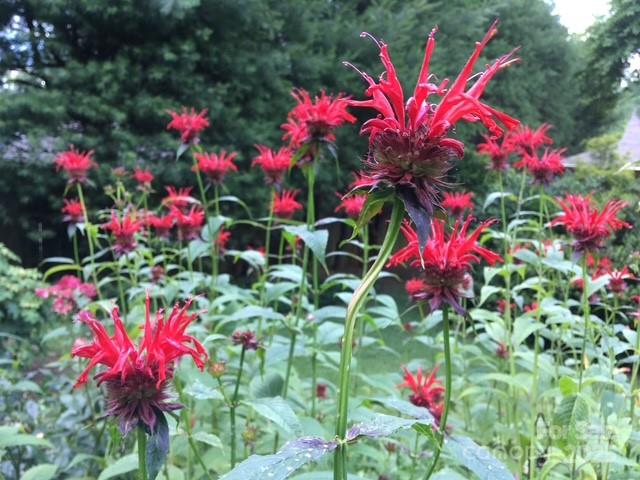 Glen Meadows - Residential