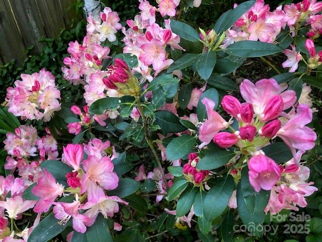 Glen Meadows - Residential