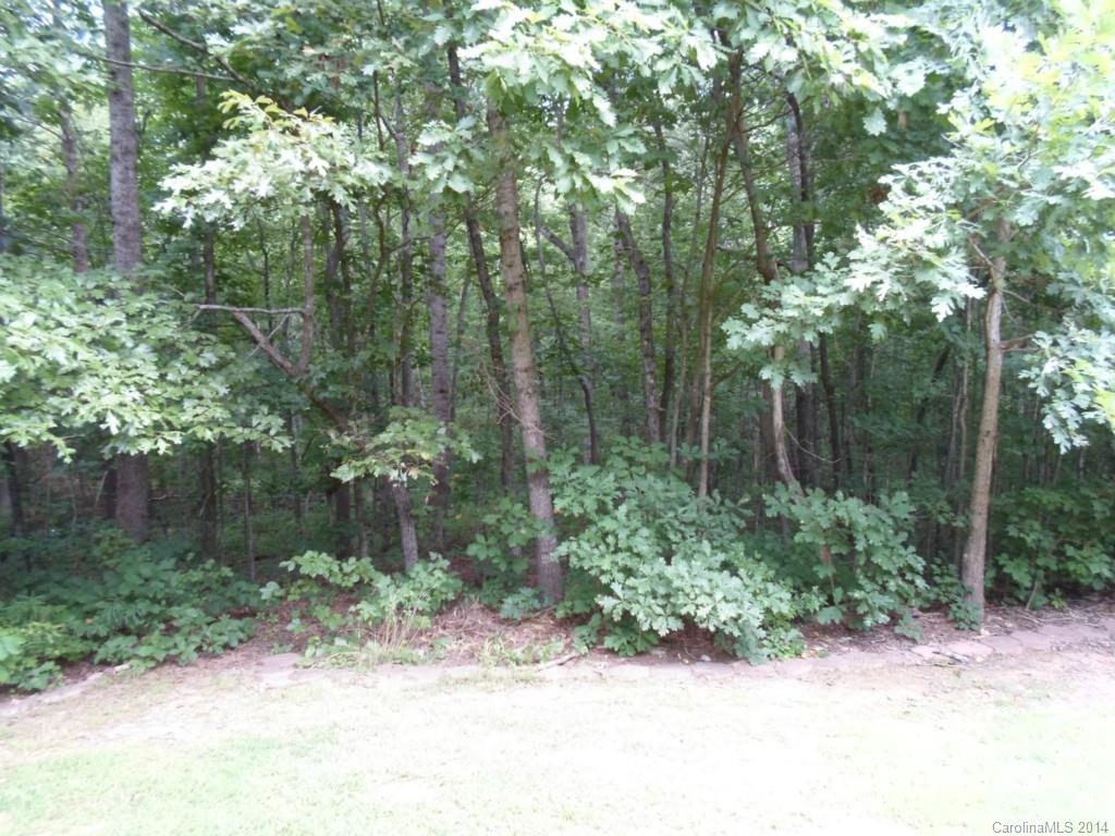 Mountain Manor - Residential