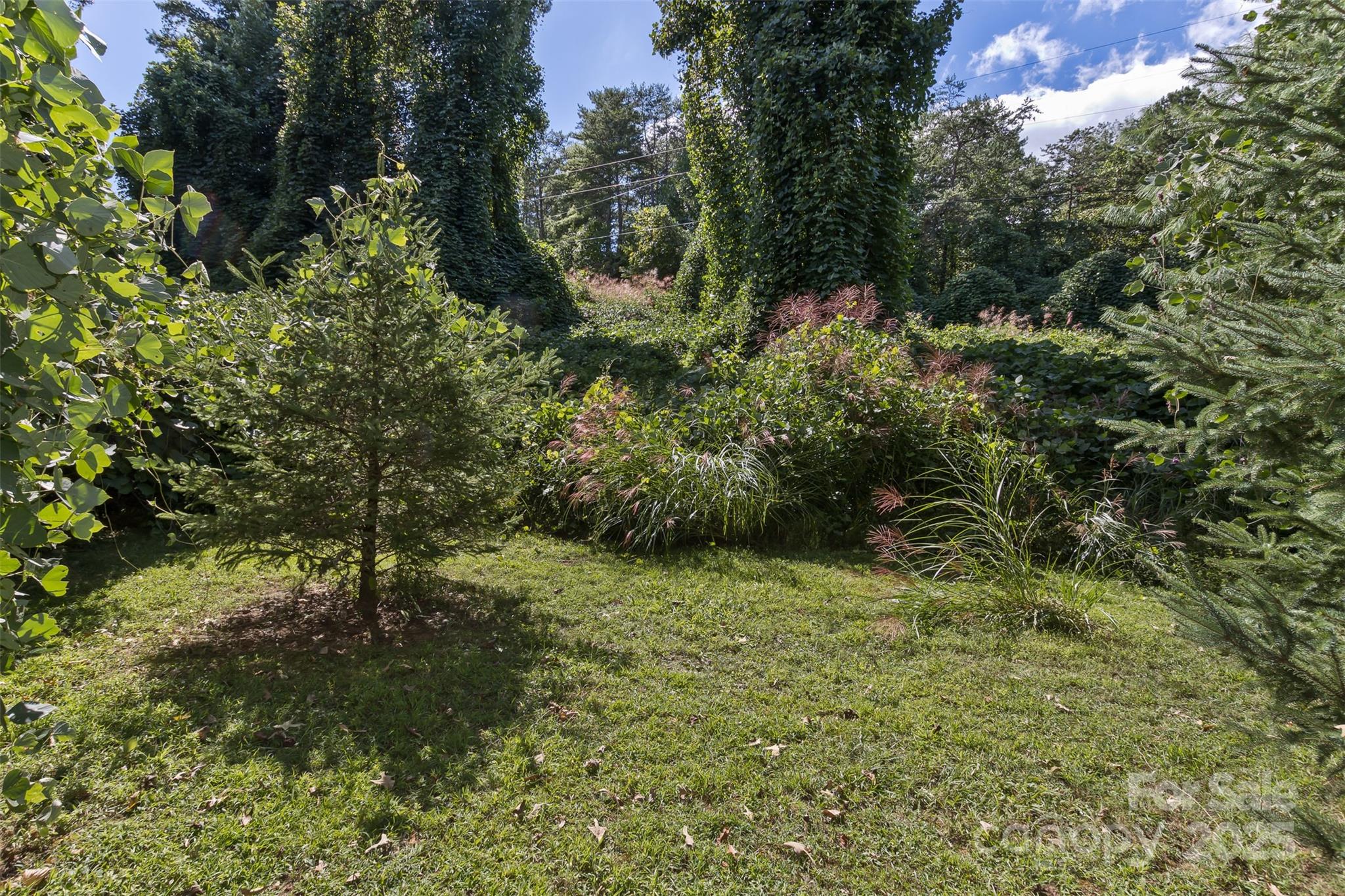 99999 Rocky Hollow Tract 2