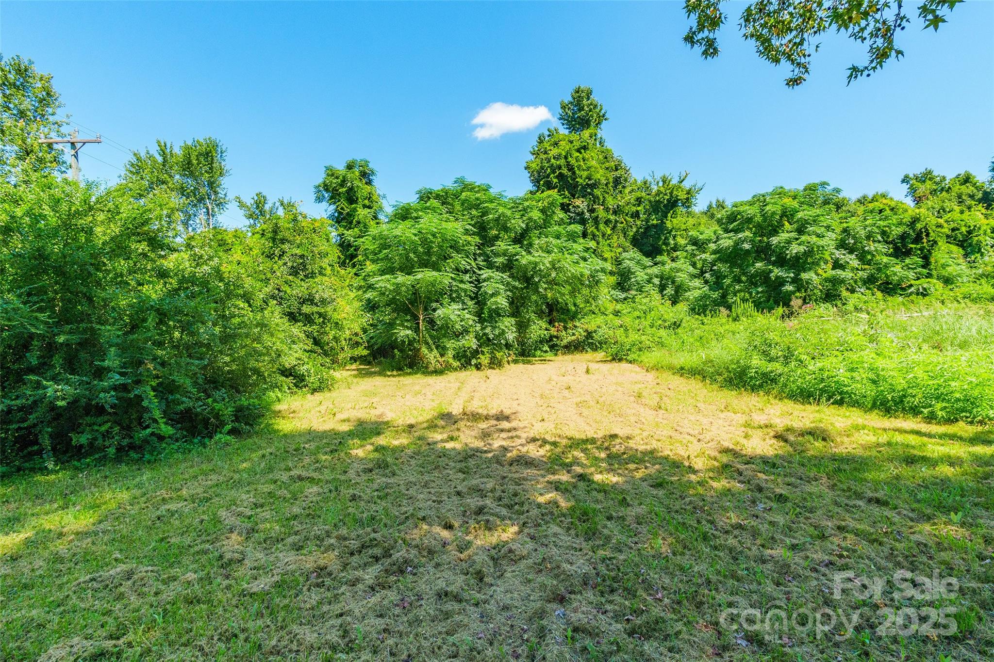 Hyde park - Residential