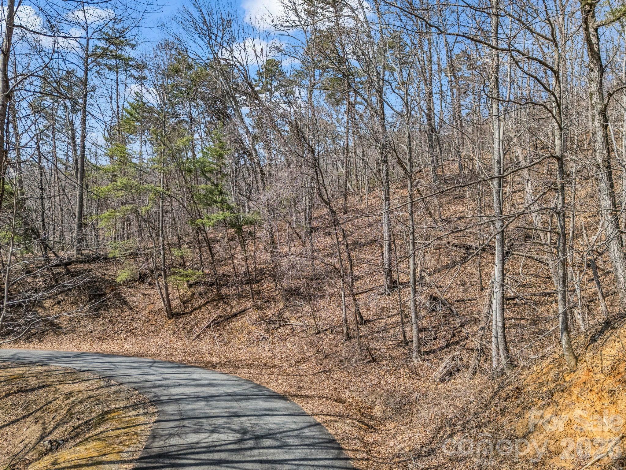 Lot #19 Hemlock Trail 19