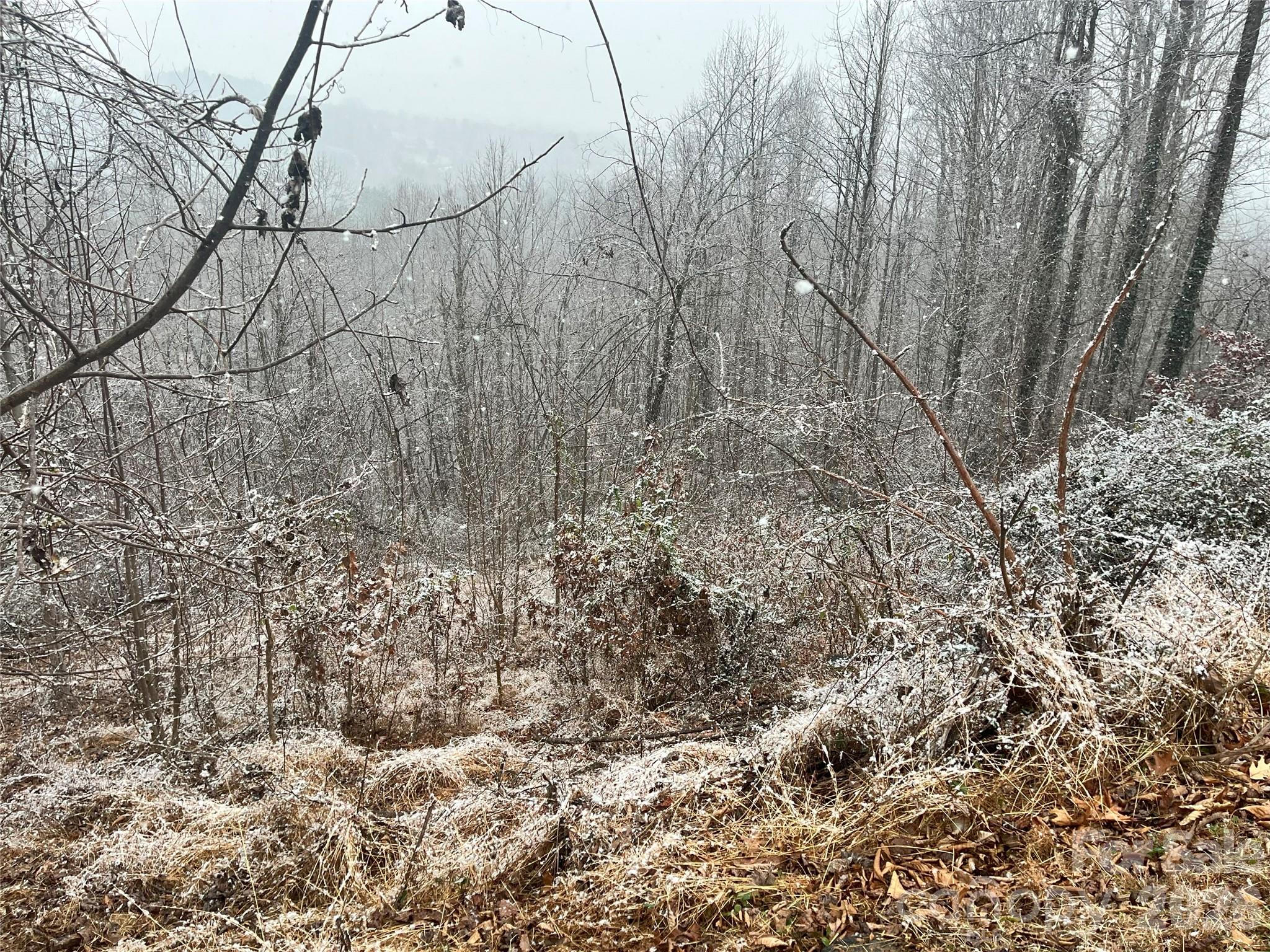 Crest Mountain - Land