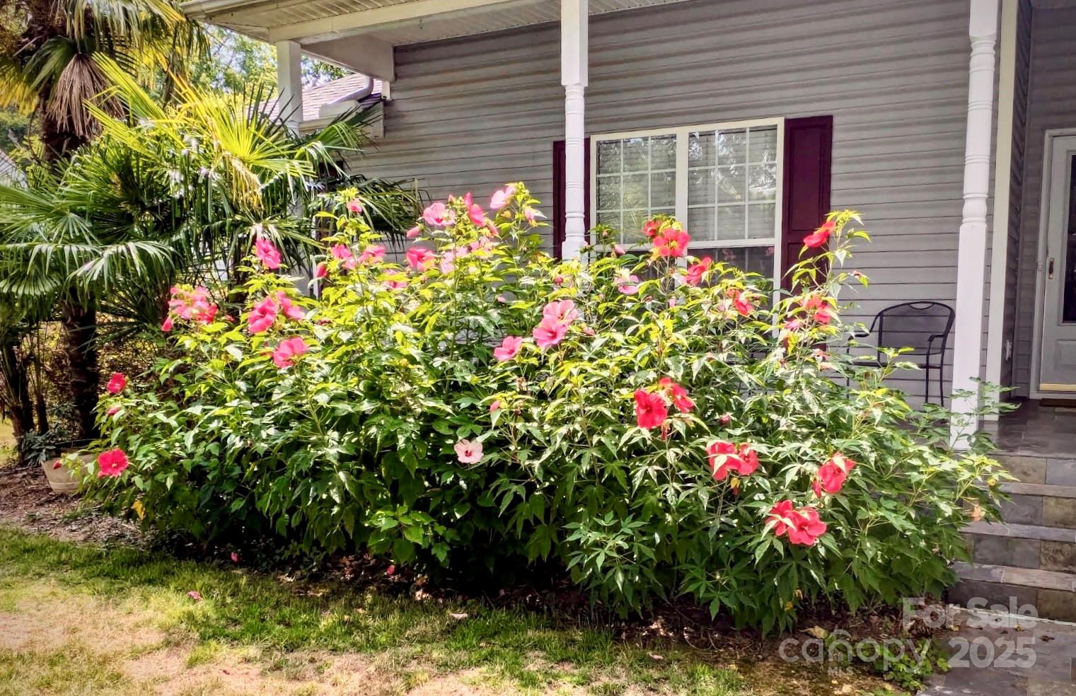 Whitegrove - Residential