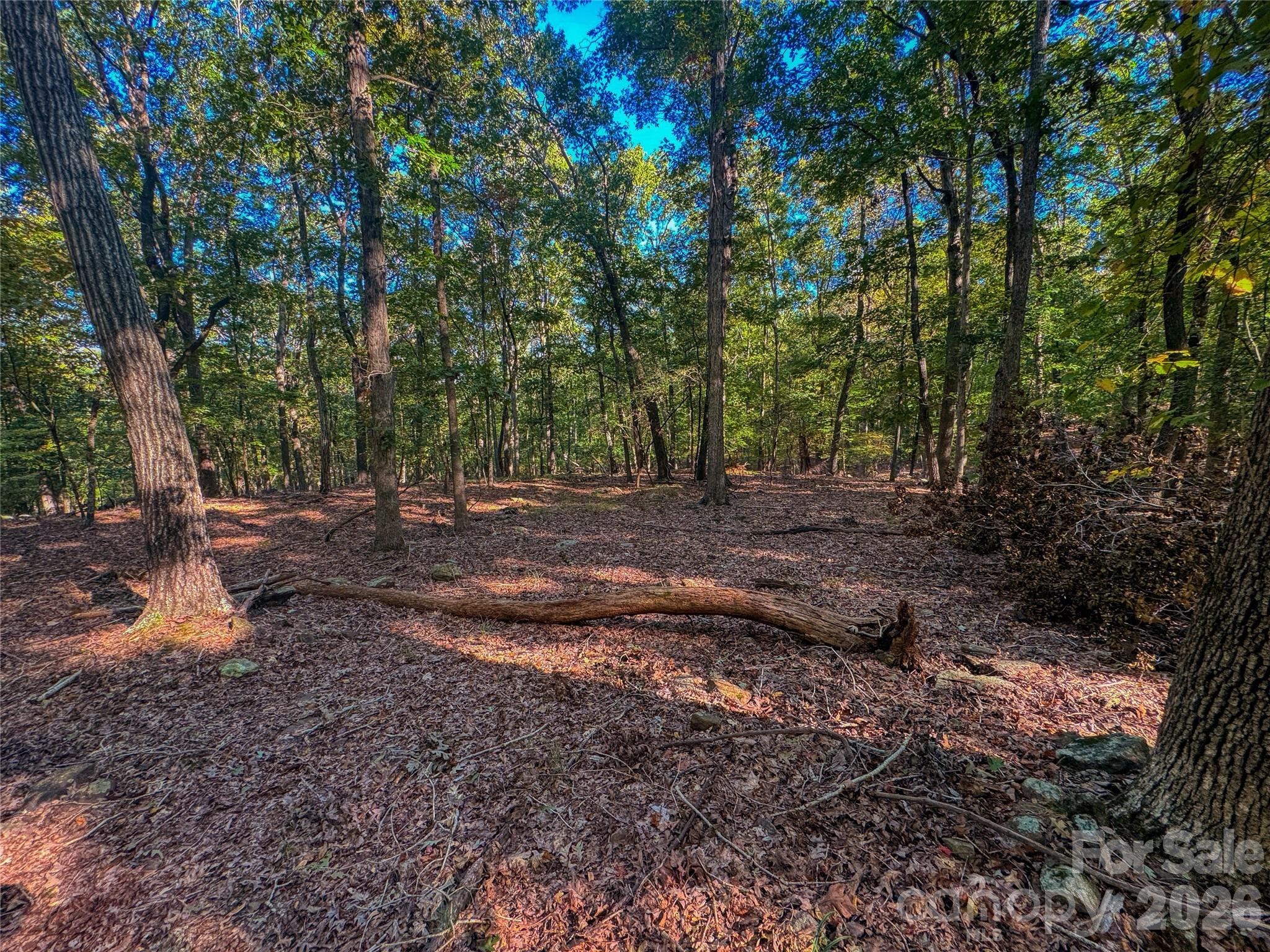 The Springs At High Rock - Land