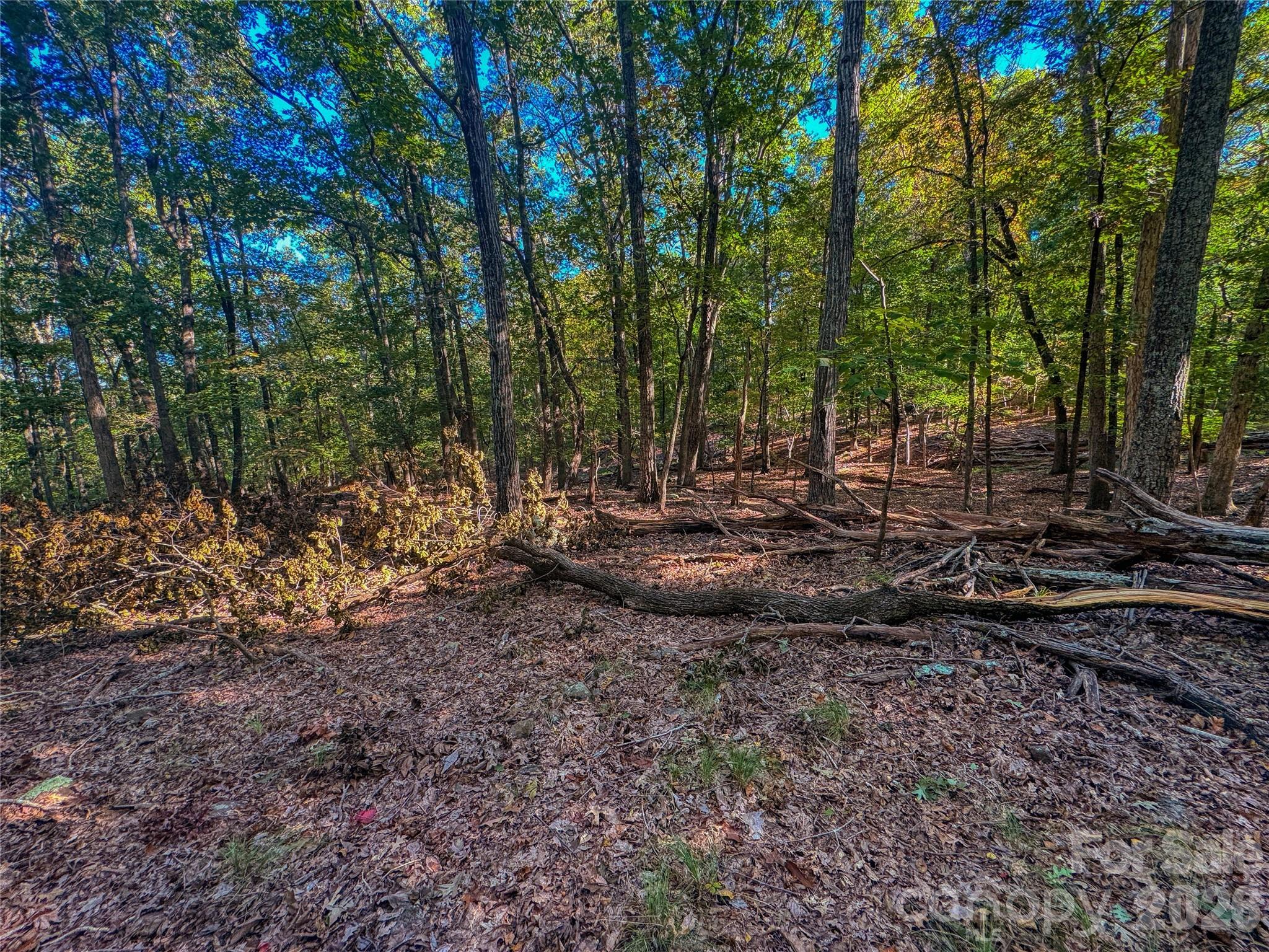 The Springs At High Rock - Land